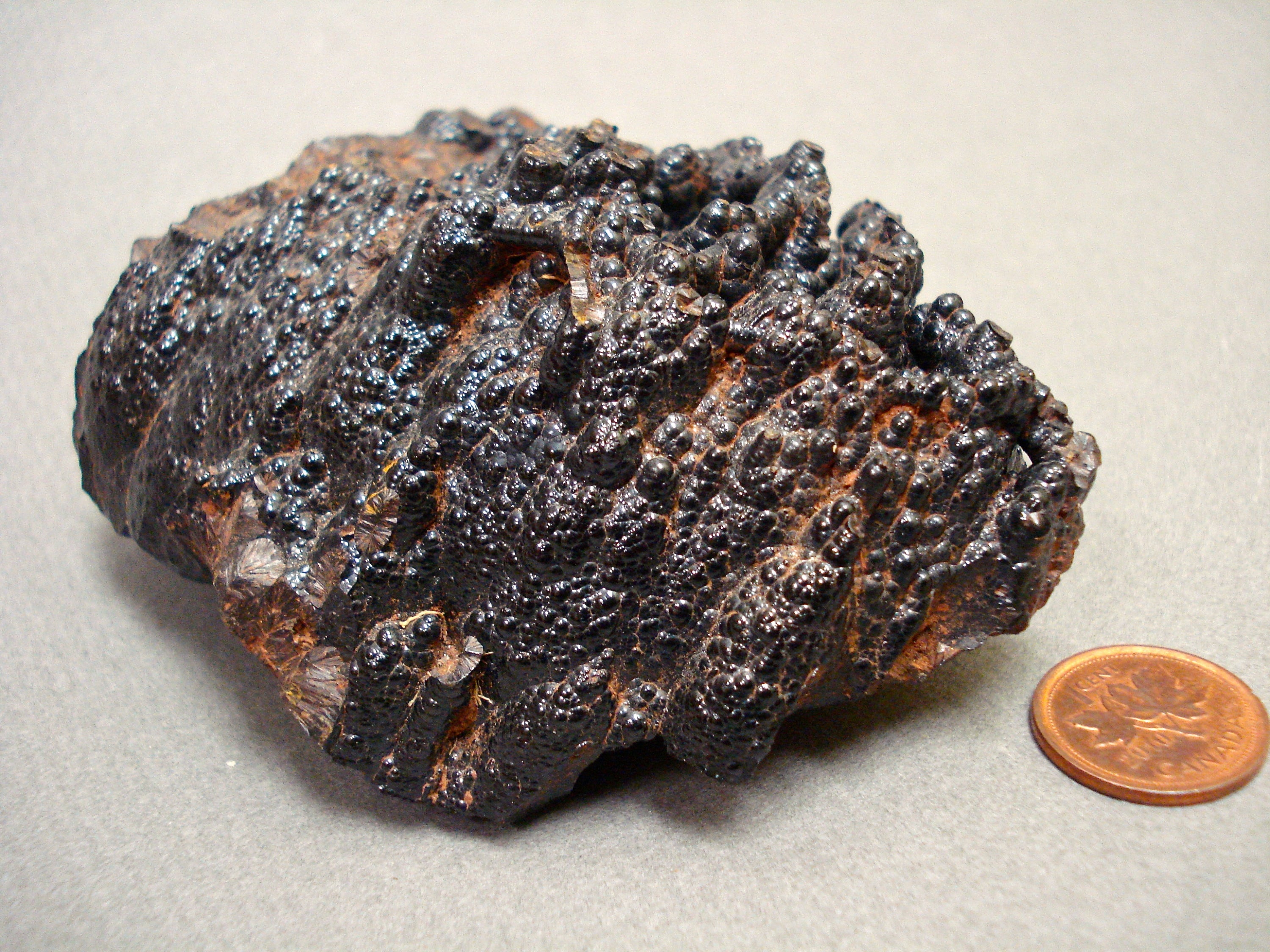 Goethite next to a penny for size comparison