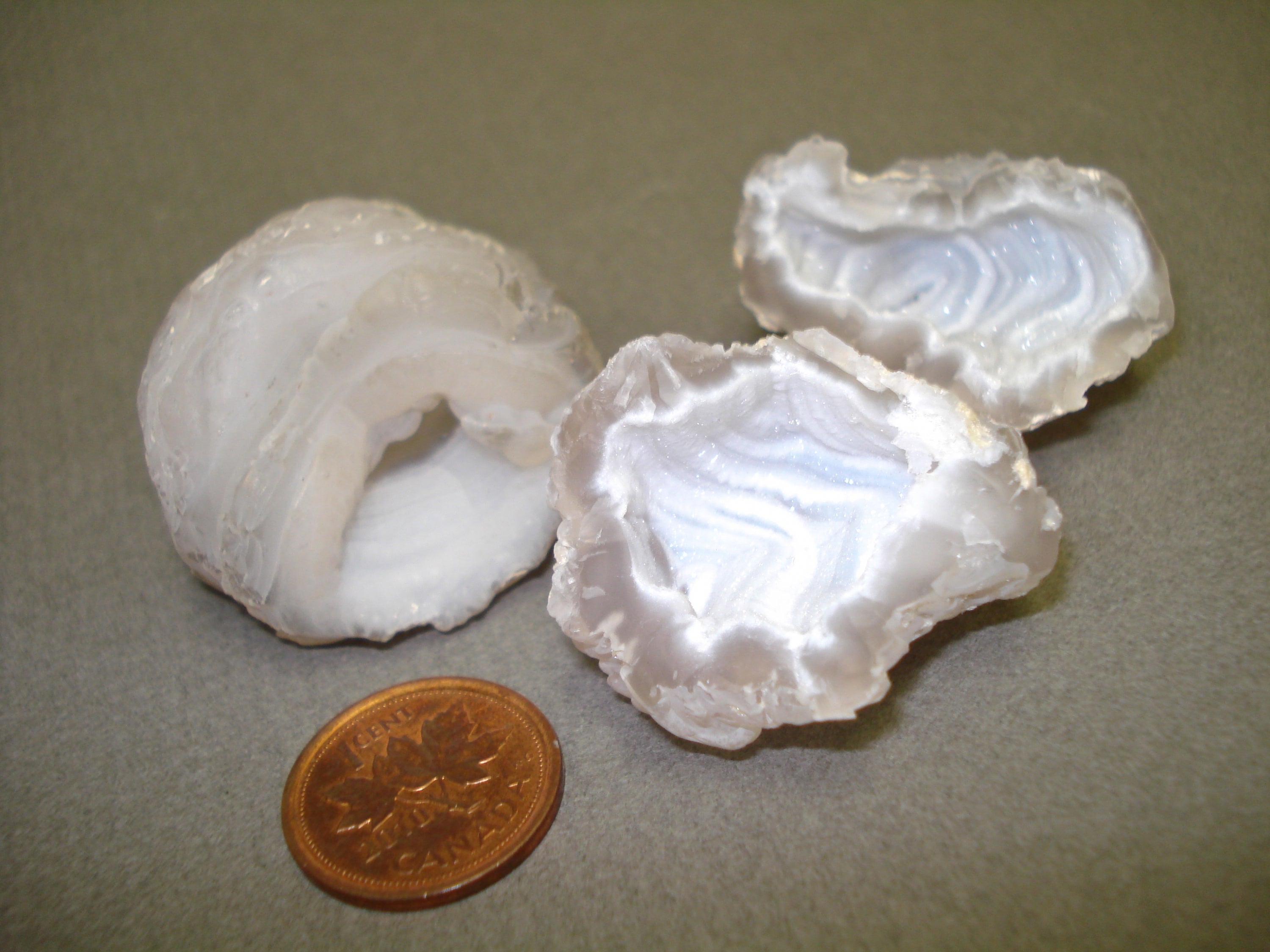 Chalcedony Rose next to a penny for size comparison