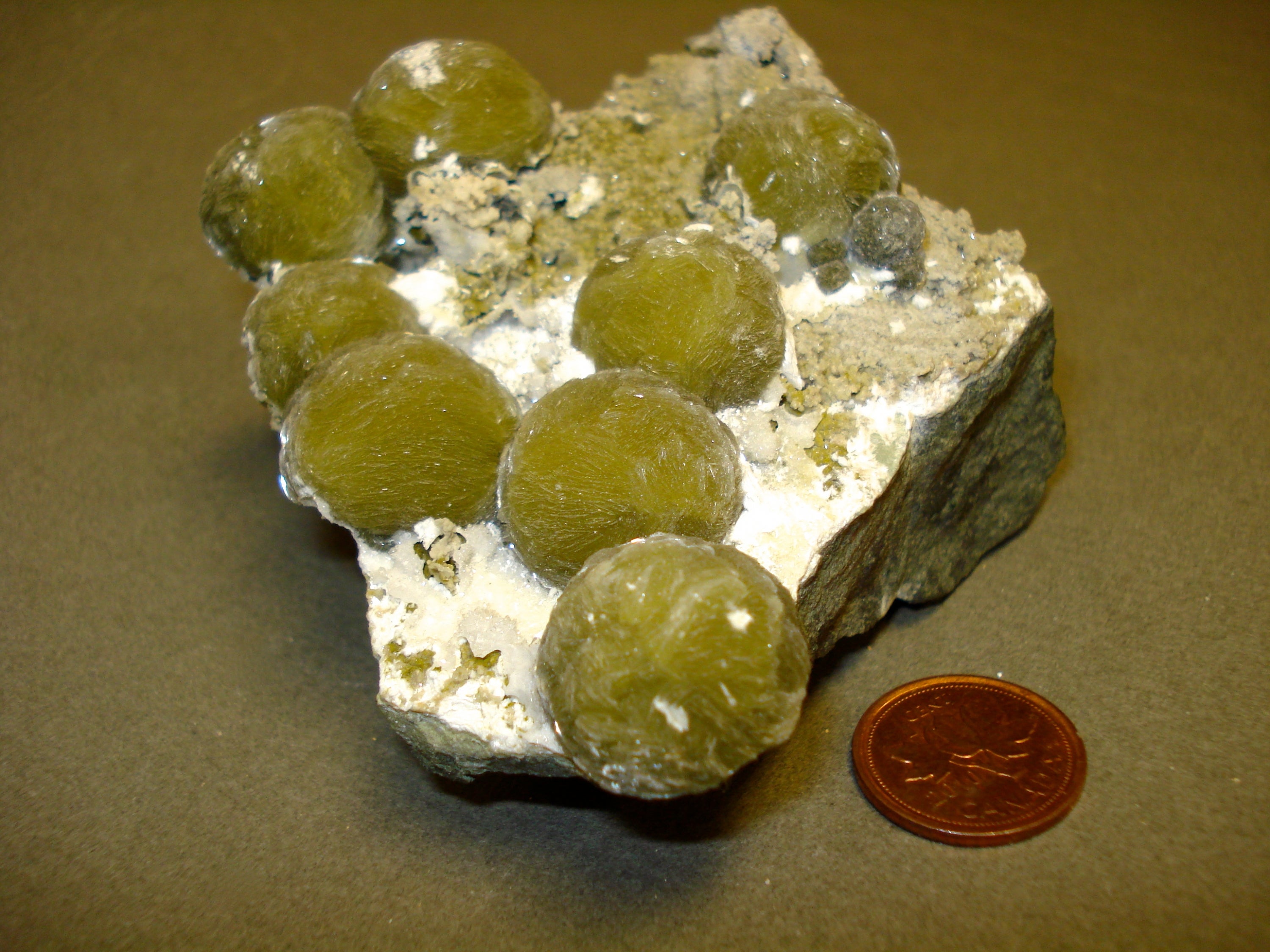 Gyrolite next to a penny for size comparison