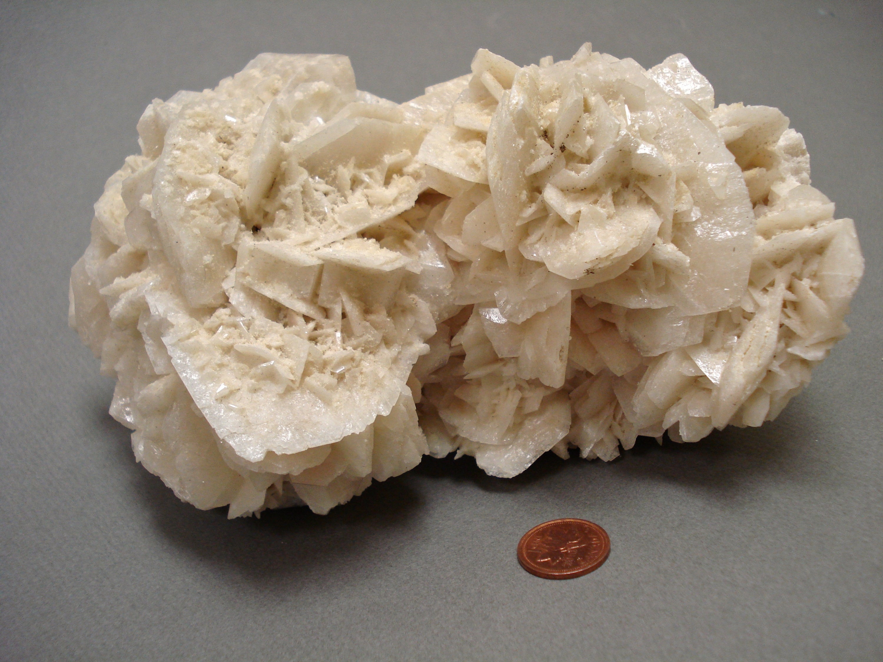 Gypsum Rose next to a penny for size comparison