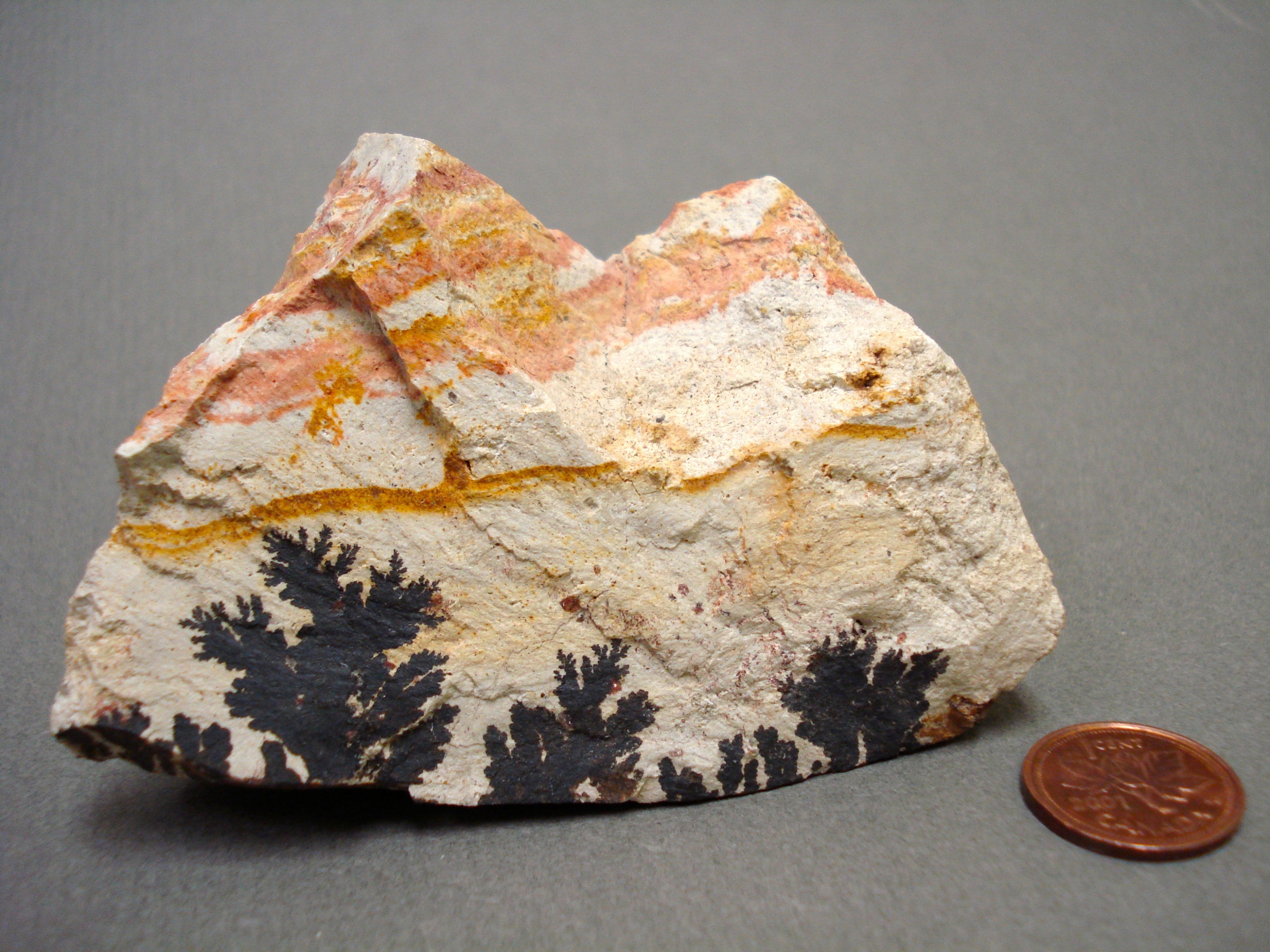 Sandstone with Dendrites next to a penny for size comparison