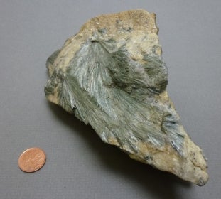 Actinolite next to a penny for size comparison