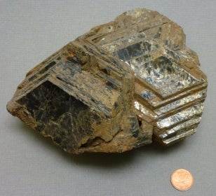 Biotite next to a penny for size comparison