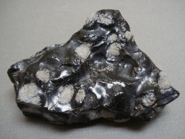 black glassy volcanic rock with white porphyroblasts