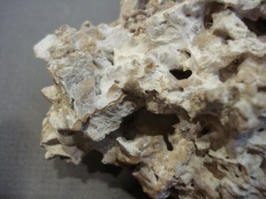 calcium carbonate close-up