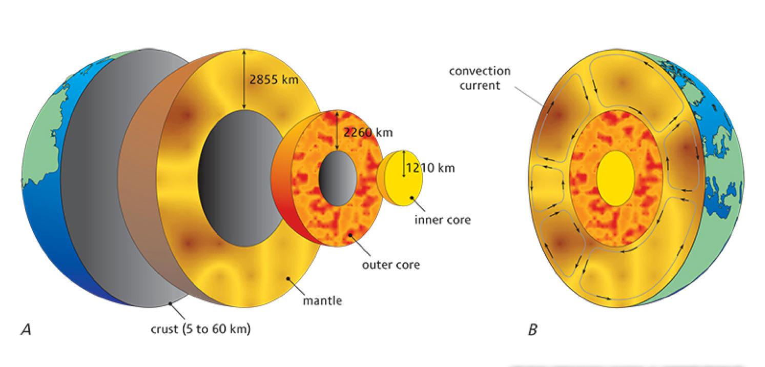 Earth split in half to show crust, mantle and inner and outer core