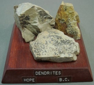 a few pieces of Dendrites mounted on a wood base with a label