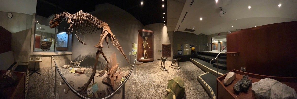 panorama of dinosaur