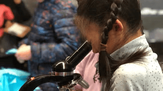 Girl looking into a microscope 
