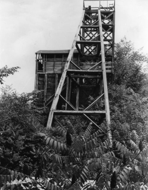 black and white picture of fluorite mine shaft
