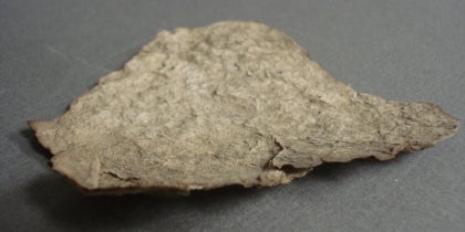 Palygorskite, otherwise known as attapulgite, fuller’s earth, or Mountain Leather