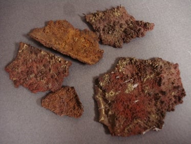 several pieces of Native Copper