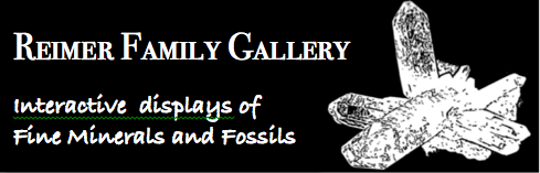  Interactive Displays of Fine Minerals and Fossils.