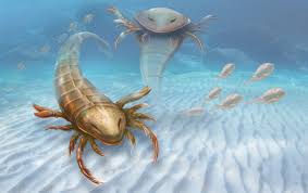 Sea Scorpion