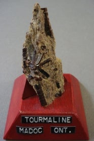 Tourmaline mounted on a wood base with a label