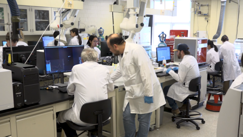 ERG members in lab