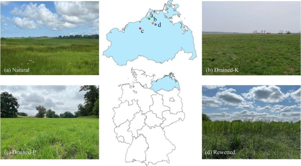 Figure 1 from article linked in news post