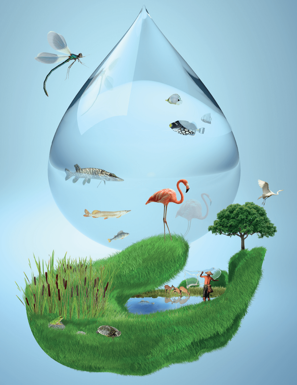 Water drop - Wetlands collage