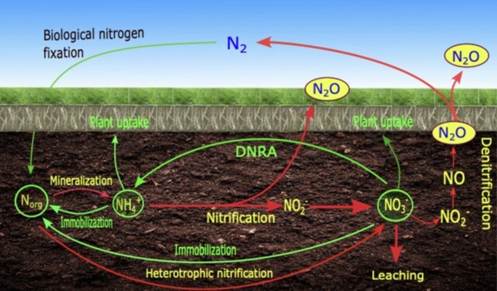 Flow Chart of Soil Process