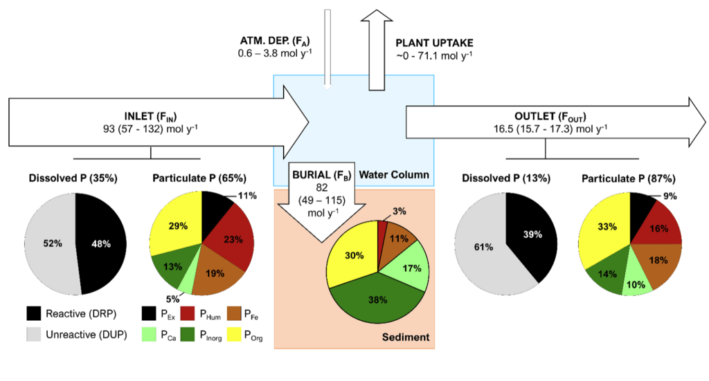 Conceptual diagram showing the phosphorus mass balance for the stormwater pond in Richmond Hill, Ontario, Canada. Further details provided in caption.