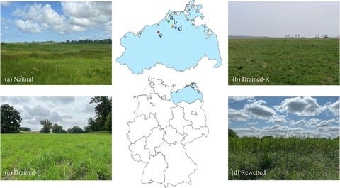 Figure 1 from article linked in news post