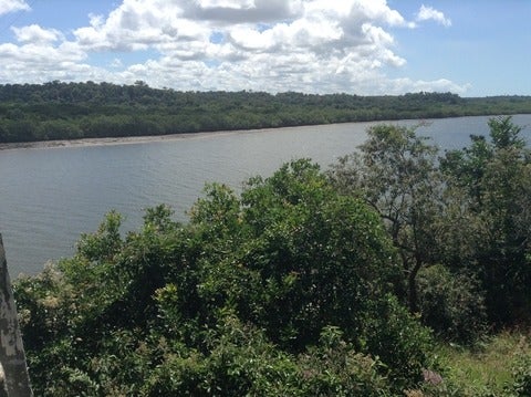 Landscape photo of a river in Brazil