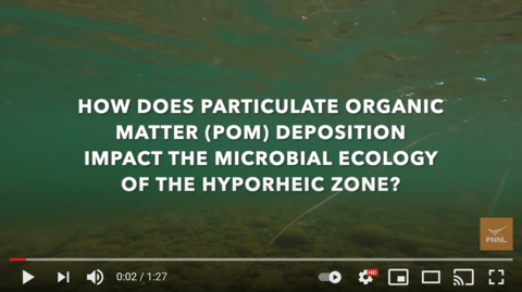 Particulate organic matter dynamics in hyporheic zone
