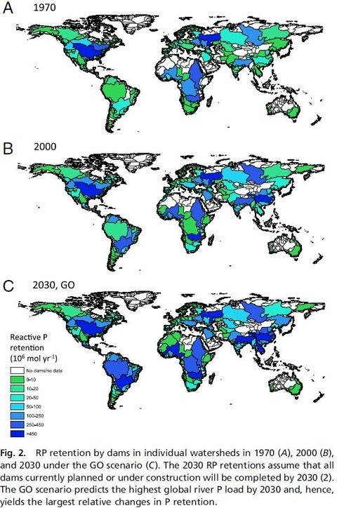 Reactive phosphorus (RP) retention by dams worldwide