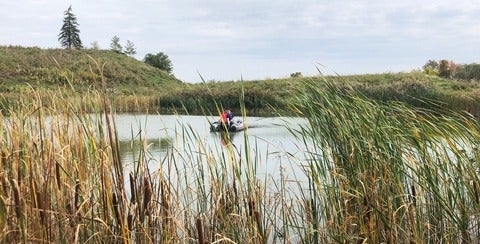Researchers sampling in the middle of a stormwater pond.