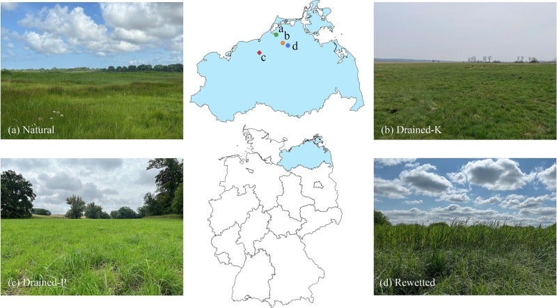 Figure 1 from article linked in news post