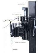 Micromanipulator