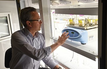 Philippe Van Cappellen with plastics samples in the lab