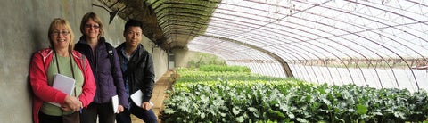 Theresa, Steffanie and Zhenzhong at Green Cow Farm in Beijing