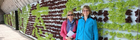 Steffanie and Theresa in front of a lettuce board in an ecological farm in Dalian