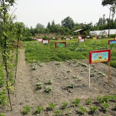 Rental plots at Anlong Village near Chengdu, Sichuan Province