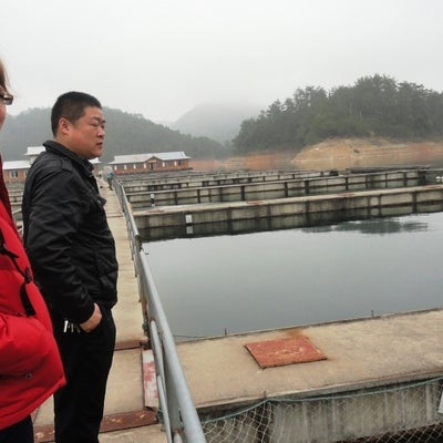 Visiting the Qiandaohu (thousand islands lake) Organic Fish Farm near Hangzhou