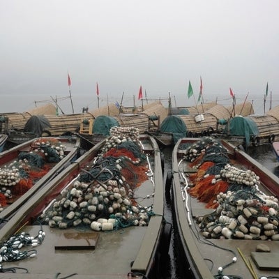Fishing boats at the Qiandaohu Organic Fish Farm near Hangzhou
