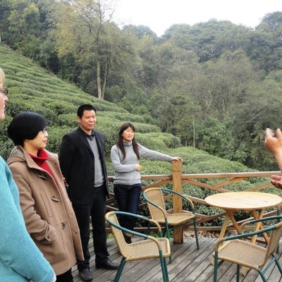 Yunqi Organic Tea farm near Hangzhou