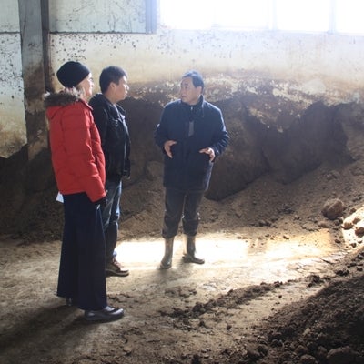 Composting factory at the Guangming Organic Rice Farm on Chongming island in Shanghai