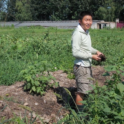 Liu Gang, owner of the Little Willow Farm, shows the compost on the farm