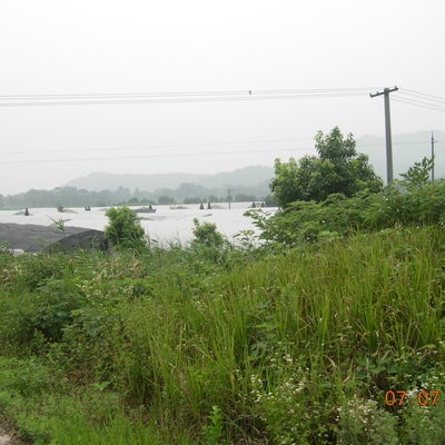 Organic farms operated by Planck in Nanjing