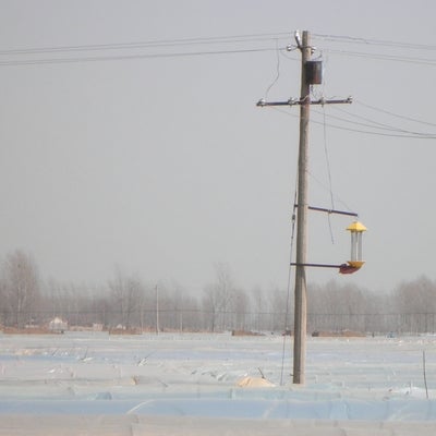 Telephone wire pole