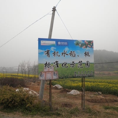 Road sign written in Chinese
