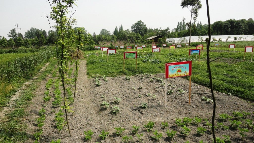 Rental plots at Anlong Village near Chengdu, Sichuan Province