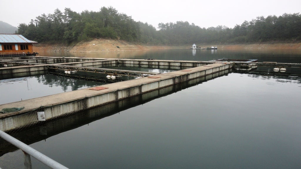 Fish ponds at the Qiandaohu (thousand islands lake) Organic Fish Farm