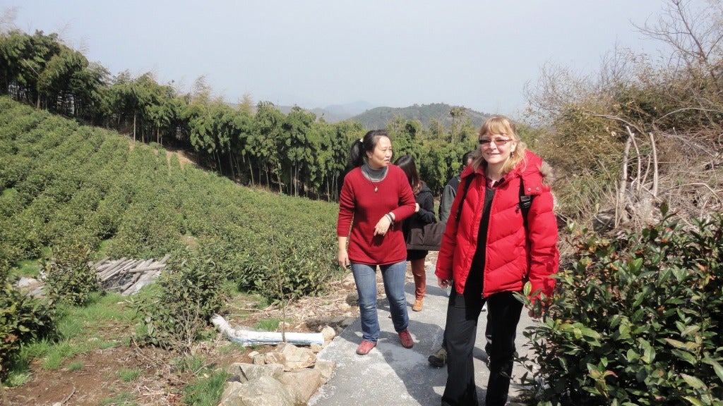 Jingshan Organic Tea Farm near Hangzhou