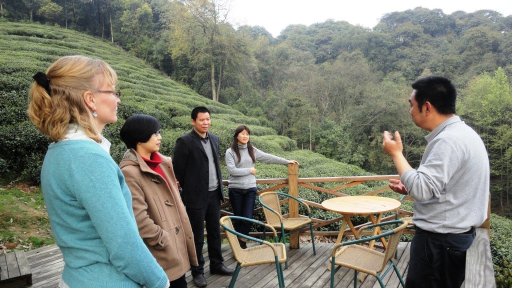 Yunqi Organic Tea farm near Hangzhou