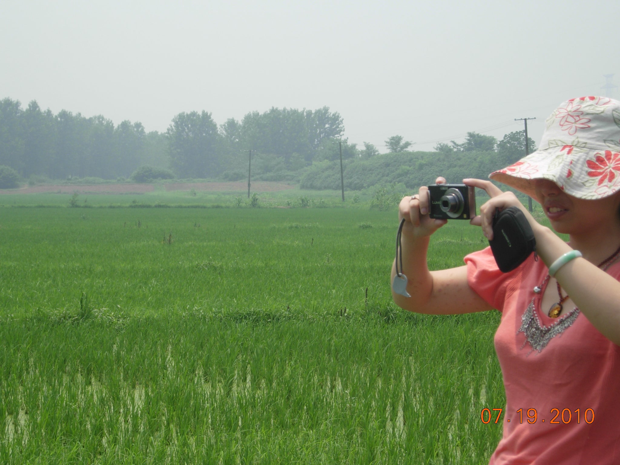 Rural land growing organic certified rice in Yangzhou city, Jiangsu province