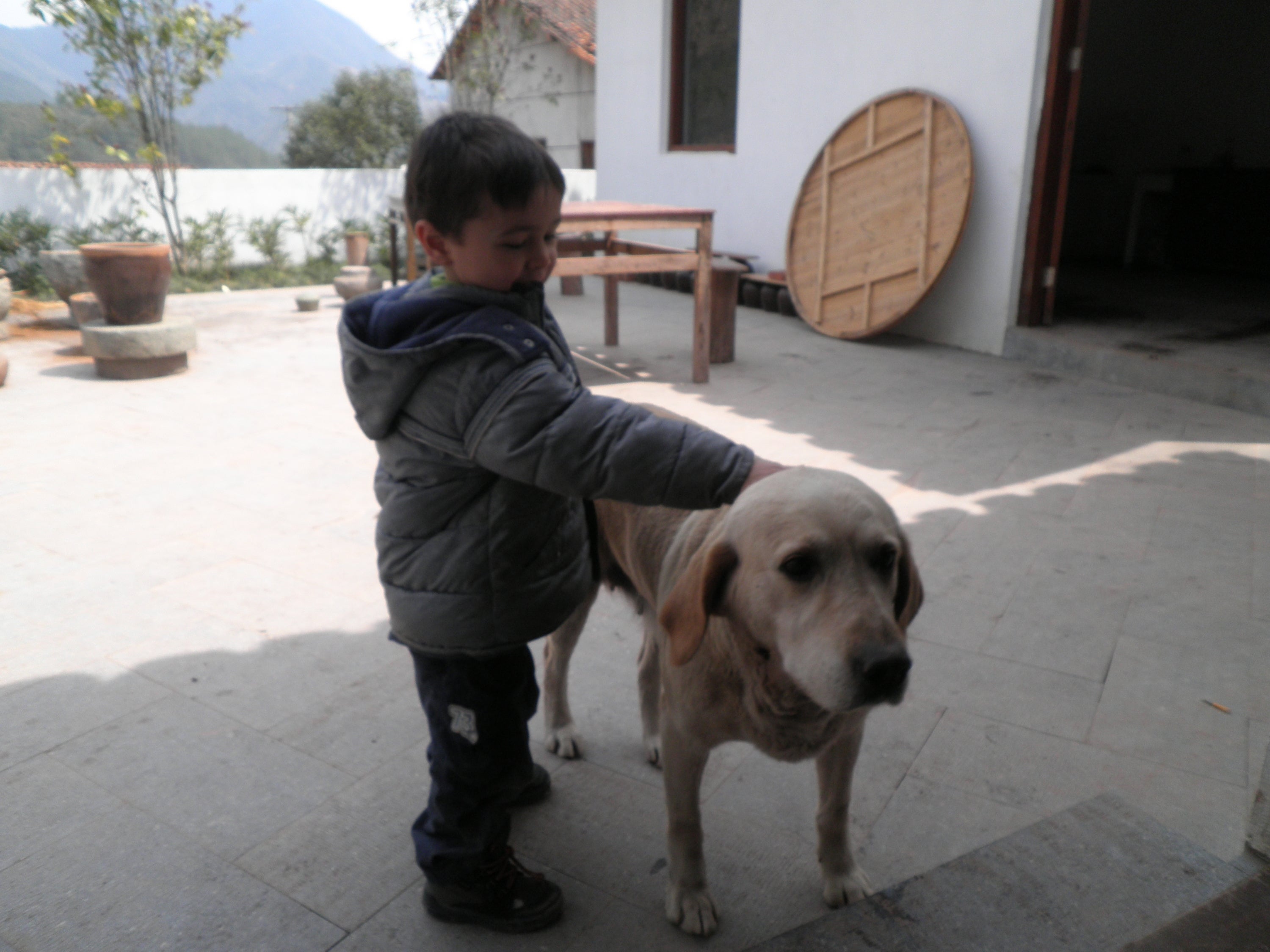 Boy petting a dog