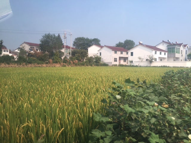 Dai Village